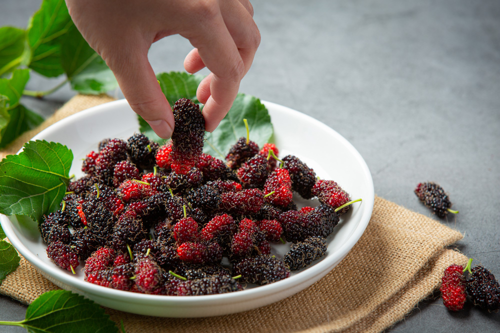 혈당을 낮춰주는 과일 오디