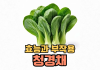 청경채 효능과 보관법, 부작용은? (청경채, 효능, 보관법) 청경채효능